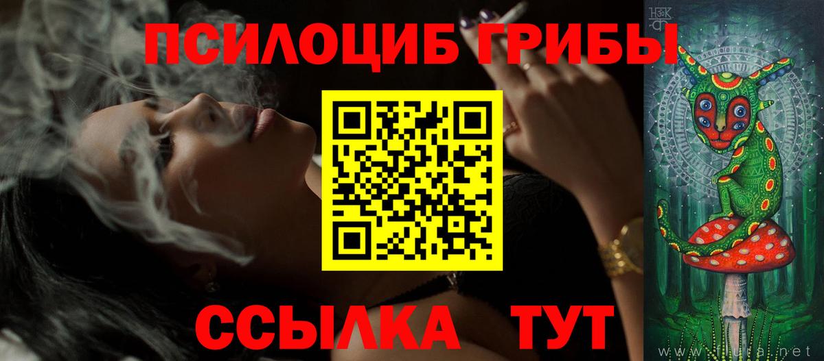 Галлюциногенные грибы Psilocybine cubensis Урус-Мартан